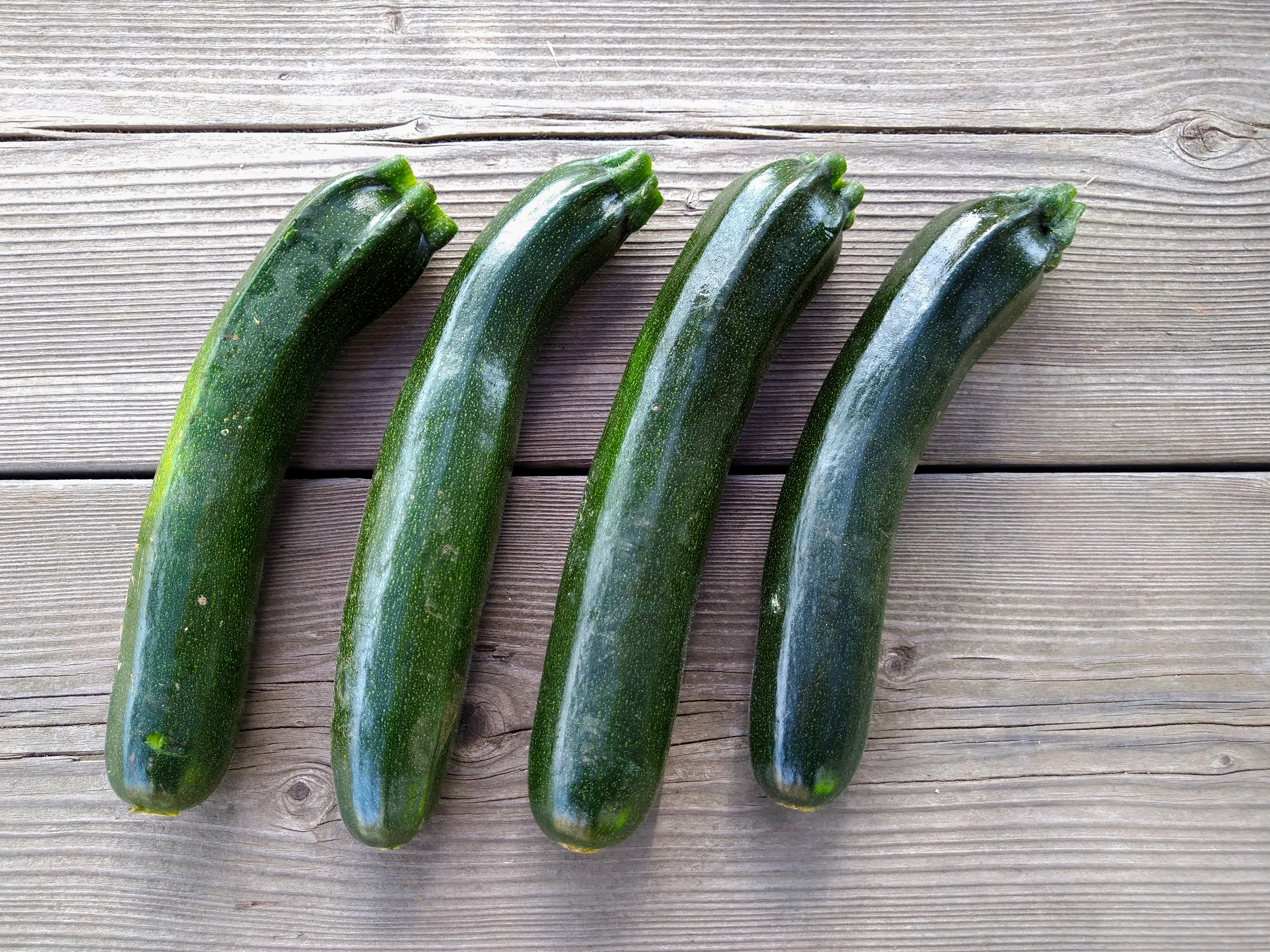 ズッキーニの上手な受粉方法を解説!タイミングは?やり方の手順を詳しく