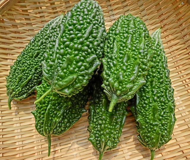 ゴーヤの収穫はいつ頃？実の大きさや時期など見極め方をご紹介！