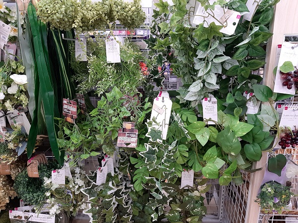 100均の人気グリーンインテリア14選!おしゃれなアイデア実例も