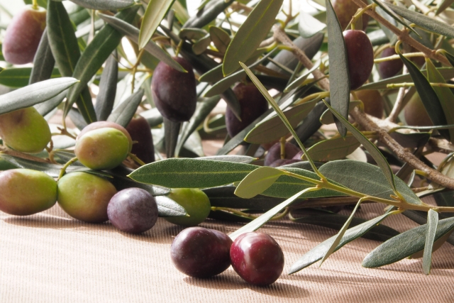 オリーブの実のブラックとグリーンの違いは？違いをわかりやすく解説！