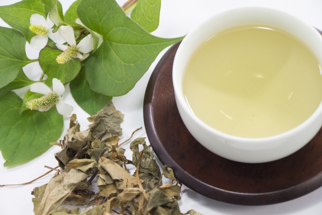 どくだみ茶のデトックス効果とは?美容・健康面の薬効を詳しく解説!