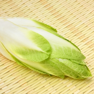 アンディーブとはどんな野菜？旬の季節・味や美味しいレシピをご紹介！