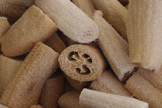 ヘチマたわしとは?失敗しない簡単な作り方や用途・効果について紹介