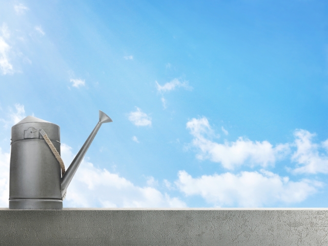 【園芸の基礎】水やりの上手なやり方！頻度やタイミングを解説！