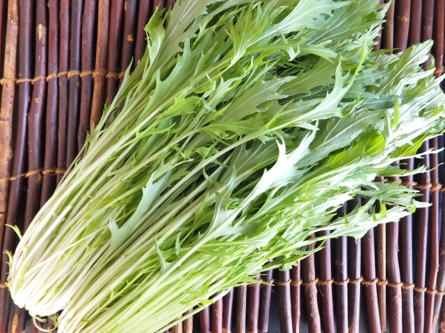 水菜は生のままで食べられる?サラダなど人気のレシピもご紹介