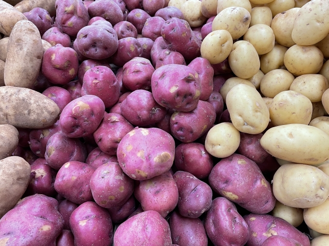 じゃがいもの旬といえば?メジャー品種の収穫時期・産地を紹介!