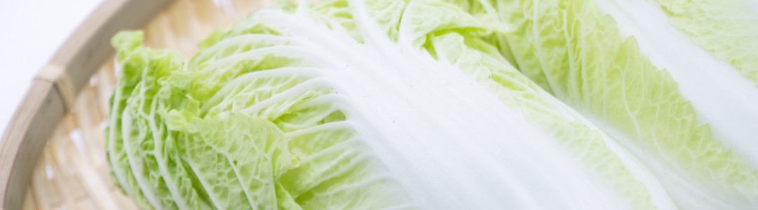 白菜のイメージ