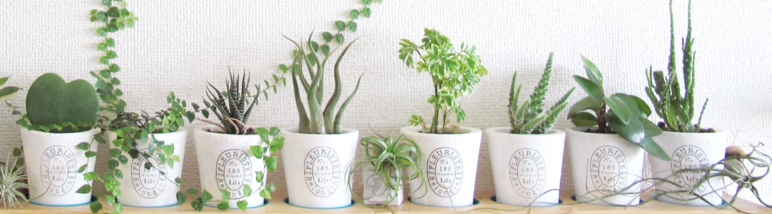 インテリア・DIYのイメージ