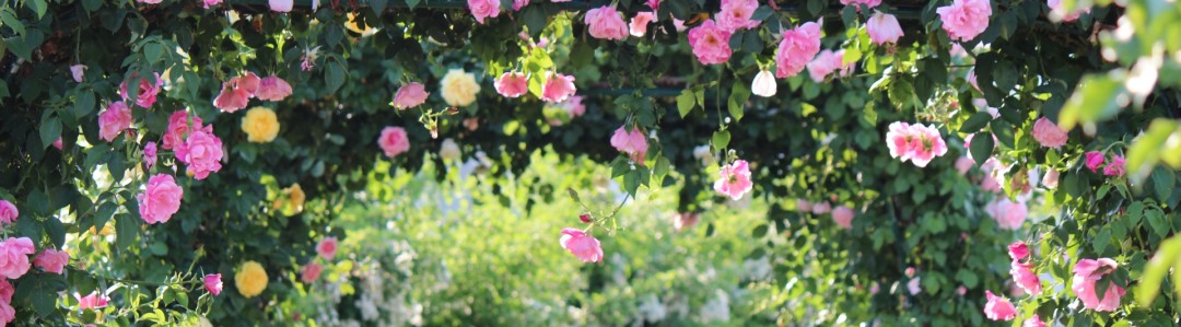 植物園のイメージ