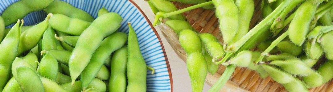 枝豆のイメージ