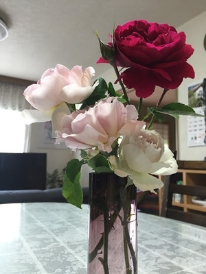 あびぃ