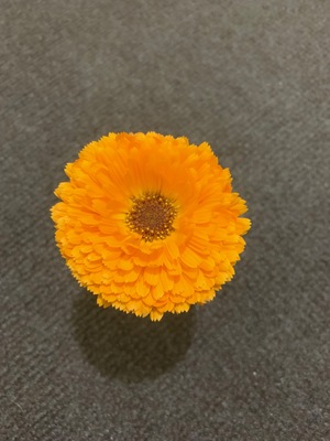 まぁ
