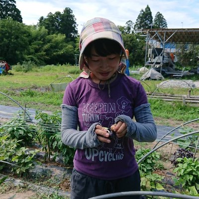 青木昭子