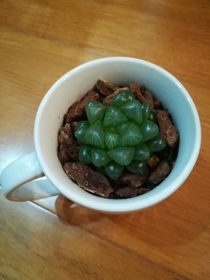 紅茶と蜂蜜