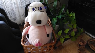 buusencho_sunu