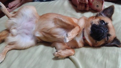 ゆうきち